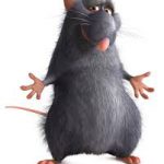 ratatouille